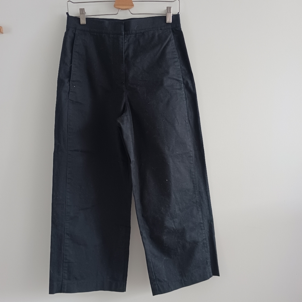 Aritzia Cropped Babaton Walsh Black Pants